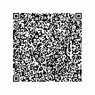 vCard 78462333906