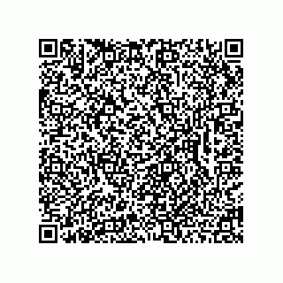 vCard 78462333907