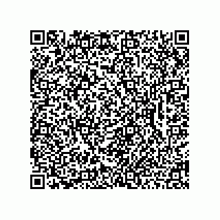 vCard 78462333909