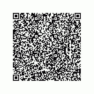 vCard 78462333919