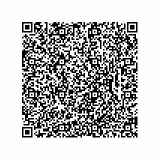 vCard 78462333921