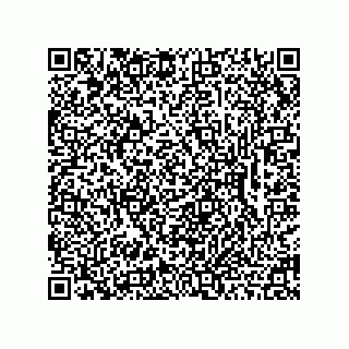 vCard 78462333933