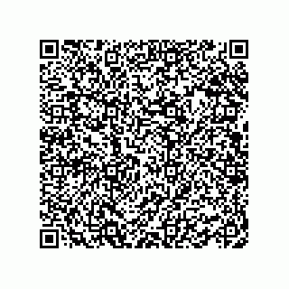 vCard 78462333935