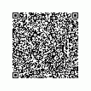 vCard 78462333942