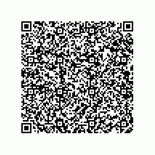 vCard 78462333947