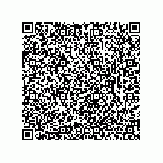 vCard 78462333979
