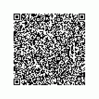 vCard 78462333980
