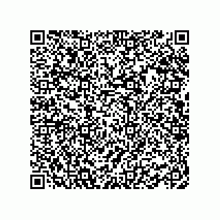 vCard 78462333981