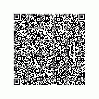 vCard 78462333985