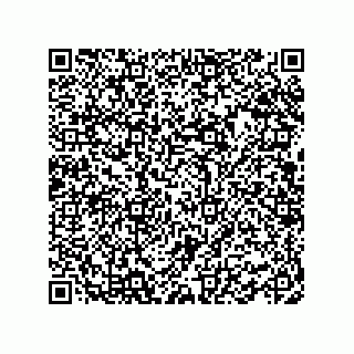 vCard 78462333986