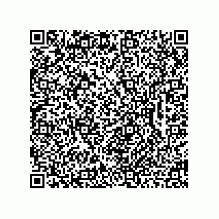 vCard 78462333987