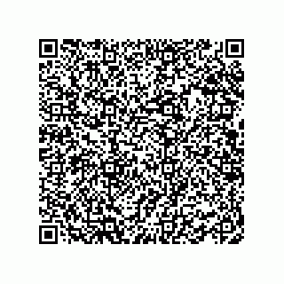 vCard 78462333997
