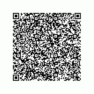 vCard 78462333998