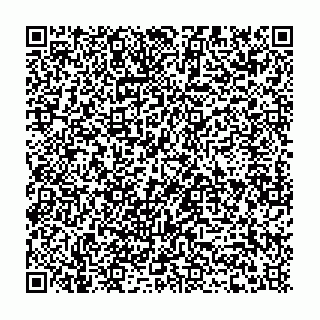 vCard 78462456003