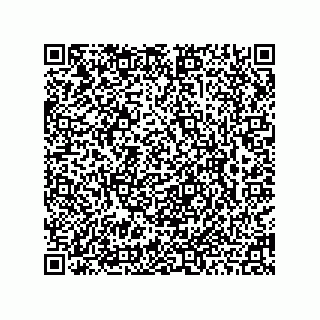 vCard 78462456279