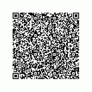 vCard 78462510221