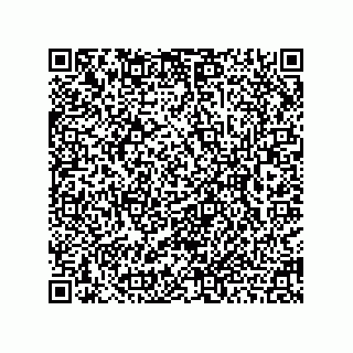 vCard 78462550039