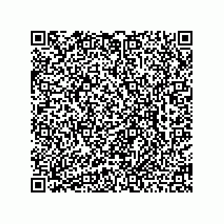 vCard 78462662097