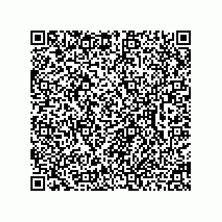 vCard 78462730009
