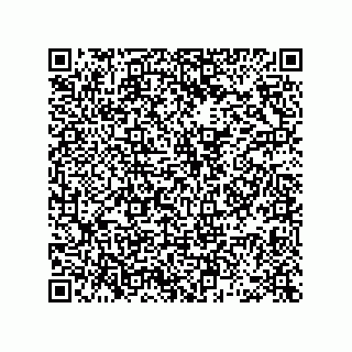 vCard 78462730013