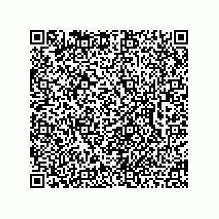 vCard 78462730028