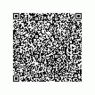 vCard 78462730033