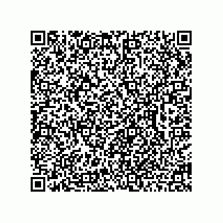 vCard 78462730080