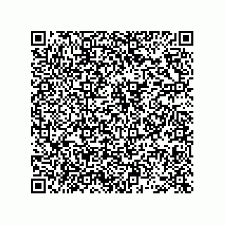 vCard 78462730098
