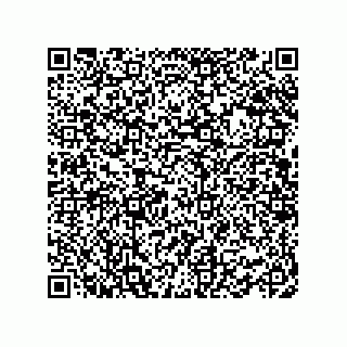vCard 78462730099