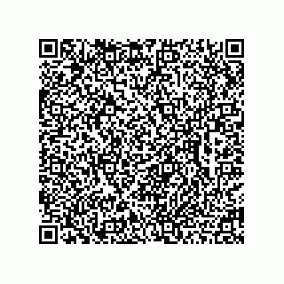 vCard 78462730113