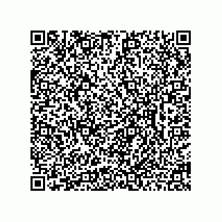 vCard 78462730251