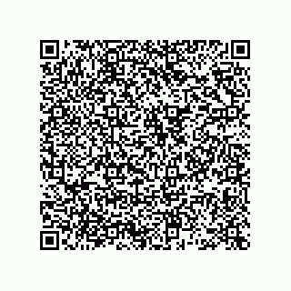 vCard 78462730291