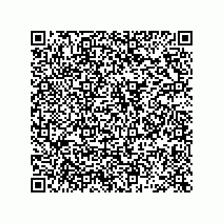 vCard 78462730317