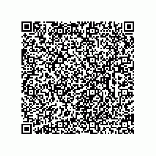 vCard 78462730381