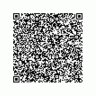 vCard 78462730385