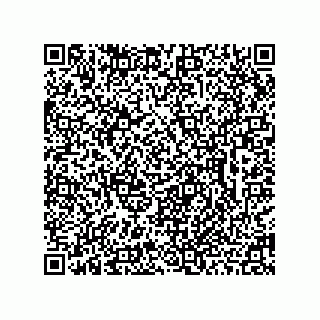vCard 78462730387
