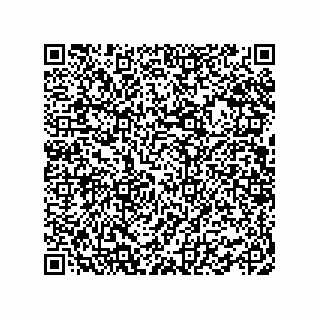 vCard 78462730396