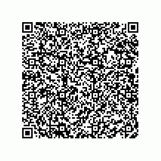 vCard 78462730399