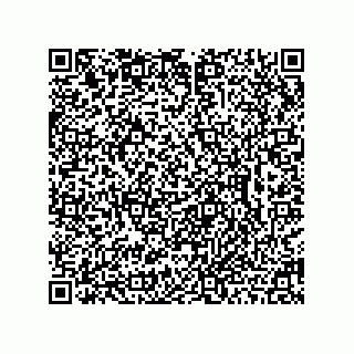 vCard 78462734707