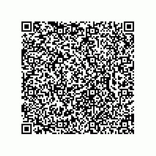 vCard 78462734848
