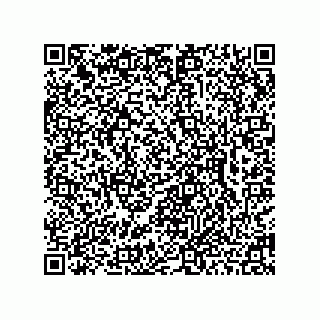 vCard 78462734863