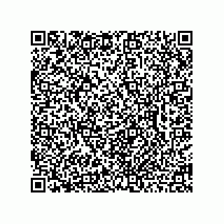vCard 78462735005