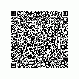 vCard 78462735199