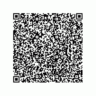 vCard 78462735249