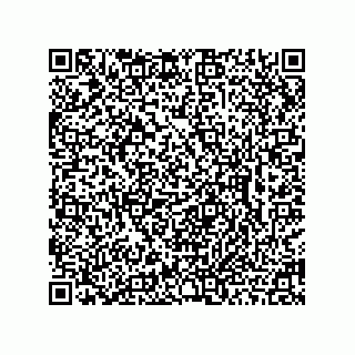 vCard 78462735263