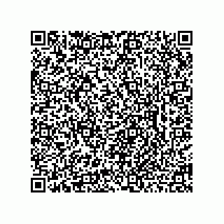vCard 78462735277