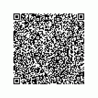 vCard 78462735280