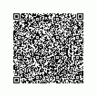 vCard 78462735287