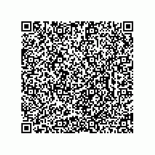 vCard 78462735298