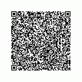 vCard 78462735311